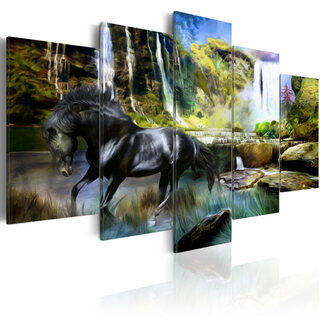 Billede - Black horse on the background of paradise waterfall