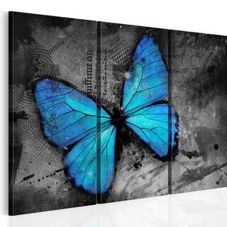 Billede - The study of butterfly - triptych