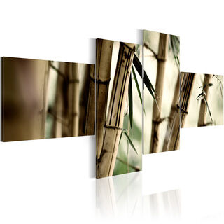 Billede - Bamboo inspiration
