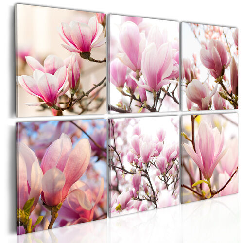 Billede - Southern magnolias
