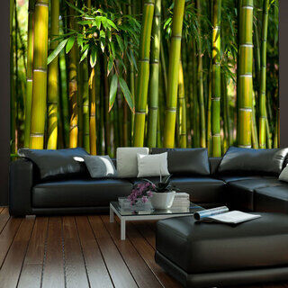 Fototapet - Asiatisk bambus skov
