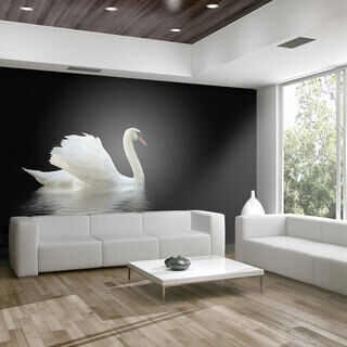 Fototapet - swan (black and white)