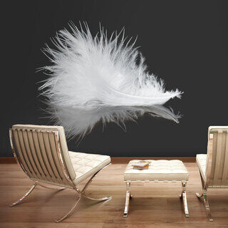 Fototapet - White feather
