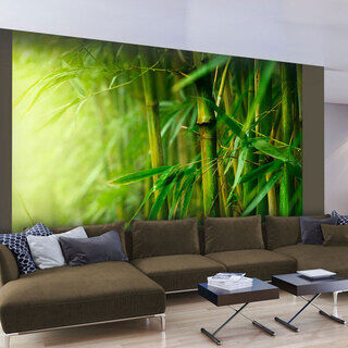 Fototapet - jungle - bamboo