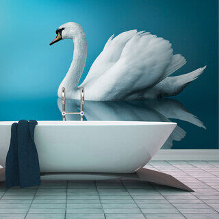 Fototapet - swan - reflection