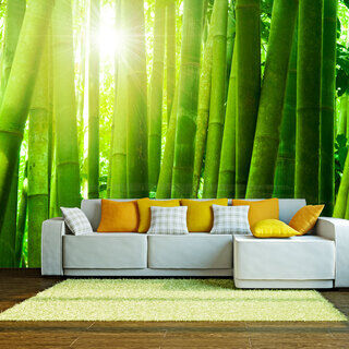Fototapet - Sol og bambus