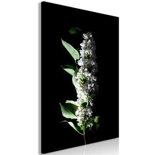 Billede - White Lilacs (1 Part) Vertical