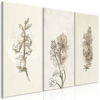 Billede - Herbarium (3 Parts)