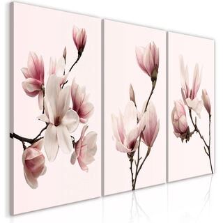 Billede - Spring Magnolias (3 Parts)