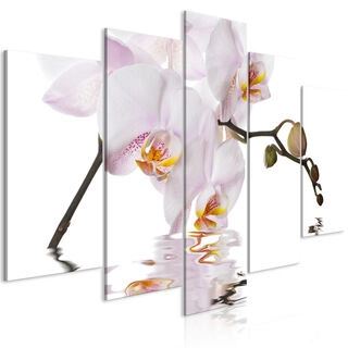 Billede - Delightful Orchid (5 Parts) Wide