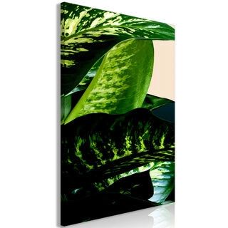 Billede - Dieffenbachia (1 Part) Vertical