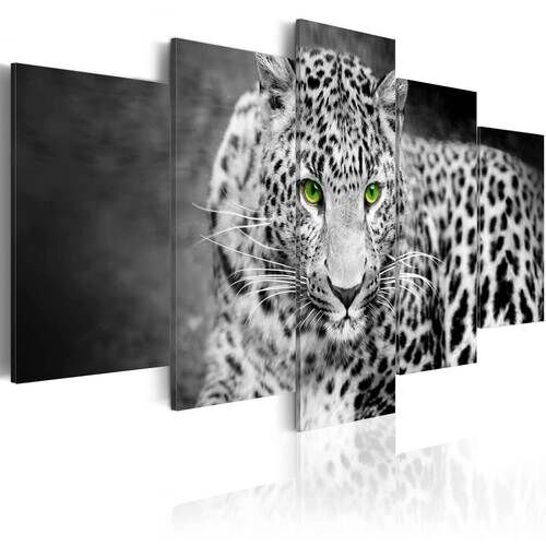 Billede - Leopard - black&white