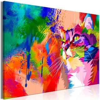 Billede - Colourful Cat (1 Part) Wide