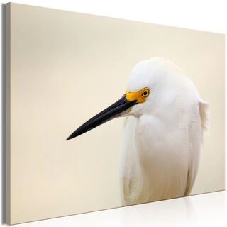 Billede - Snowy Egret (1 Part) Wide