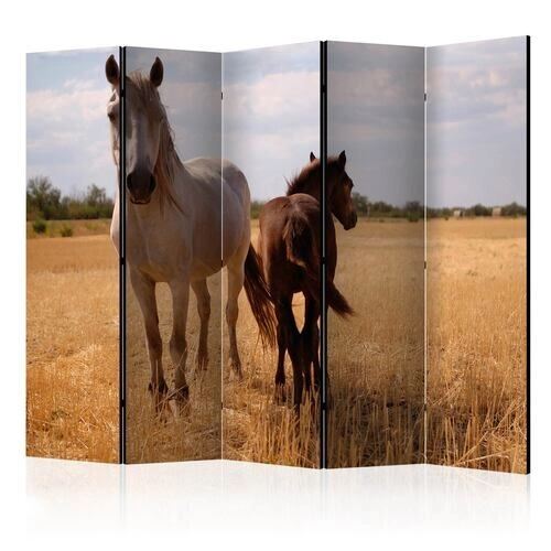 Skærmvæg - Horse and foal II [Room Dividers]