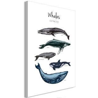 Billede - Whales (1 Part) Vertical