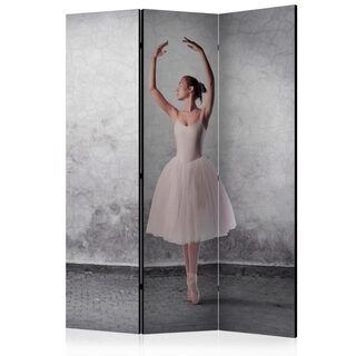 Skærmvæg - Ballerina in Degas paintings style [Room Dividers]