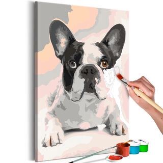 Mal selv billede - French Bulldog