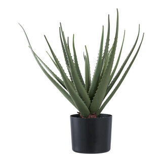 Aloe Vera - Kunstig plante, grøn H:51 cm