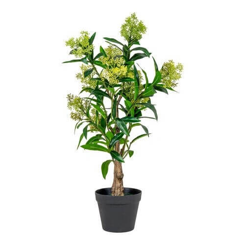 Photinia Serratifolia Træ  - Kunstig plante, grøn, 75 cm