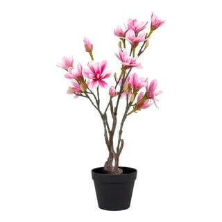 Magnoliatræ - Kunstig plante, rosa, 70 cm