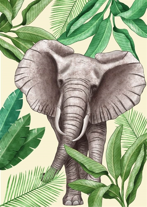 Sød zebra Illustration - Børneplakat