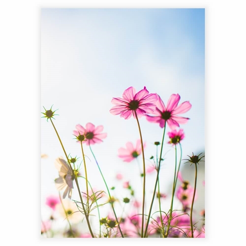 Plakat - Abstrakt sød blomst