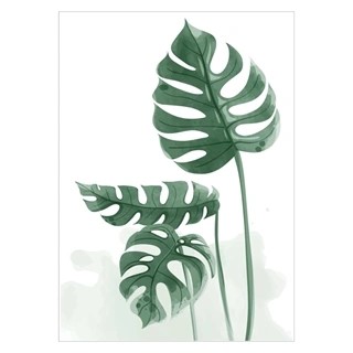 Plakat med grøn monstera plante i flot akvarelmaleri
