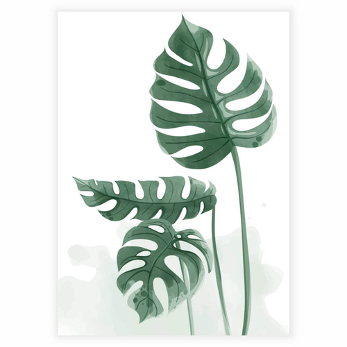 Plakat med grøn monstera plante i flot akvarelmaleri