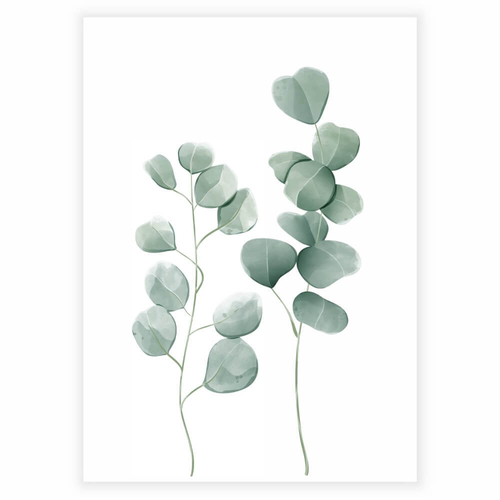 Eukalyptus planter med grønne blade i akvarel