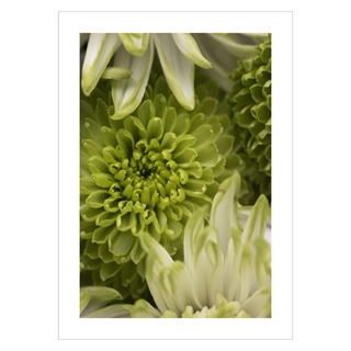 Plakat med motiv Blomster i grønne nuancer