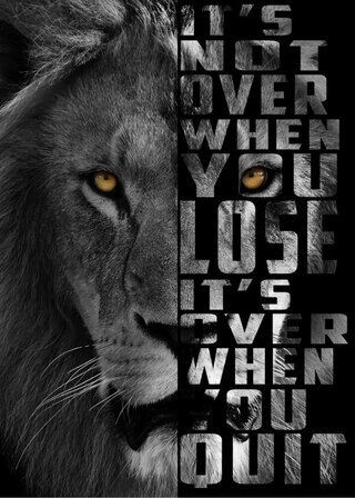 Plakat It's not over Lion 