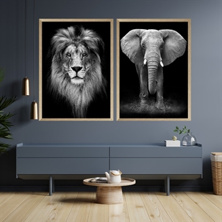 Plakatsæt løve og elefant
