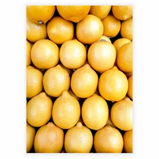 Plakat - Citroner