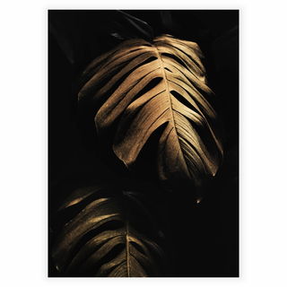 Plakat med Golden Monstera leaves