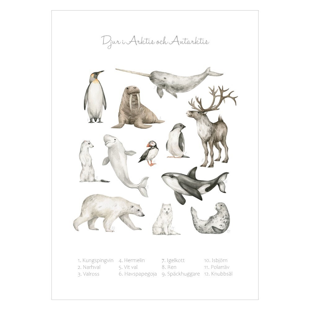 Marquee Maleri Af storm Plakat med lærings af skoven dyr
