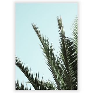 Plakat med palmeblade 3
