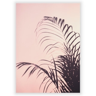 Plakat med palmeblade 4
