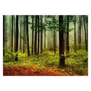 plakat med skoven i efterårsfarver