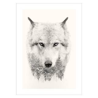 Plakat af ulvehoved