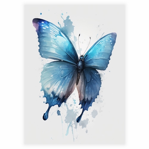 Plakat - Sommerfugl pink, blå