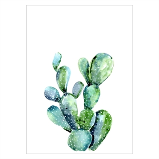 Plakat med kaktusplante