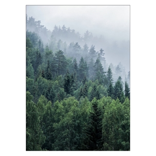 Plakat med træer på bjerg med tåge