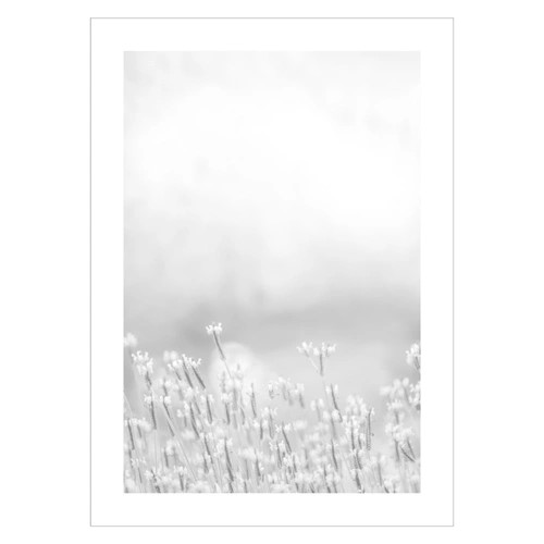 Plakat med Light flowers #2