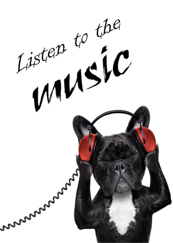 Sjov plakat af hund med høretelefoner - listen to the music