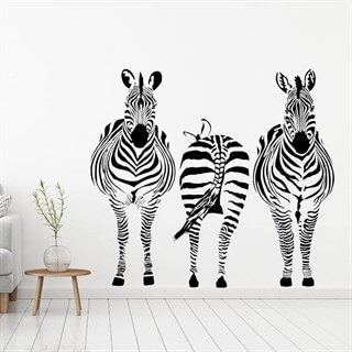 3 zebra på stribe - wallstickers