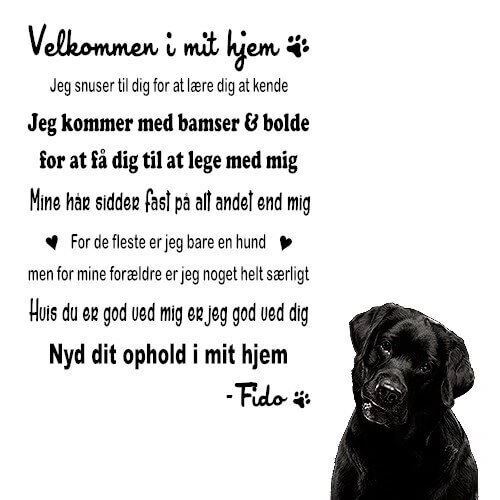 Hunderegler med navn(e) - wallstickers