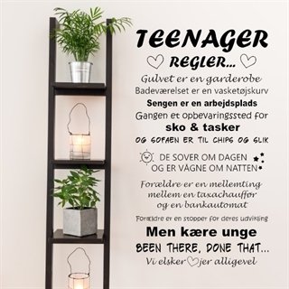 Teenager regler - wallstickers
