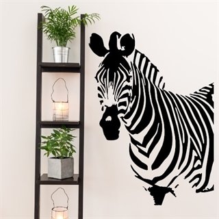 Zebra  - wallstickers